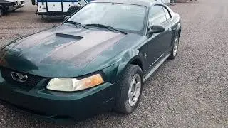 Drift Bros | First IRL Drift Car | 2001 Mustang V6