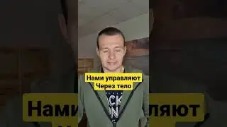 Человек Это Не Тело 