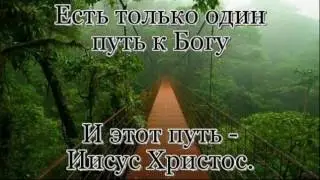 ШАНС  -  Виталий Медведев