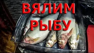 Солим и вялим рыбу в домашних условиях