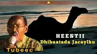 Maxamed saleebaan Tubeec | Heestii Dhibaatada Jacaylku | Qaraami xul ah | Qaaci Lyrics| subscribe .