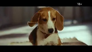 Новые тарифы Засмотрись от Дом.ru