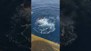 Sharm el sheikh 2024, Jump into the sea