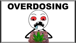 5 Stages Of Overdosing On Edibles