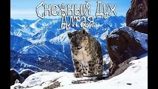 Снежный Дух Алтая