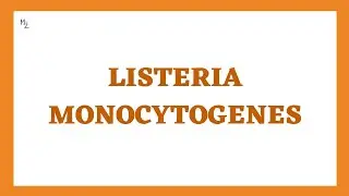 Listeria monocytogenes - Listeriosis: Morphology, Pathogenesis, Clinical Findings, Treatment