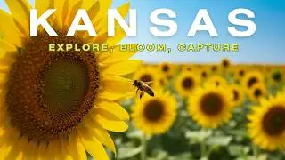 The Most Beautiful Sunflower Farm in America!