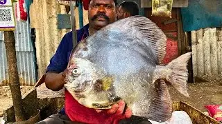 KASIMEDU SPEED SELVAM FISH CUTTING VIDEO CUTTING FOCUS