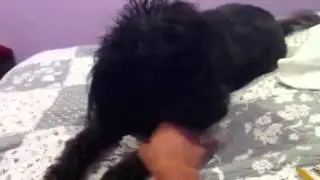 Nina