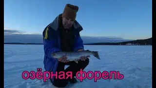 Alaska. Рыбалка.Под водой снимает камера  SONY x3000.