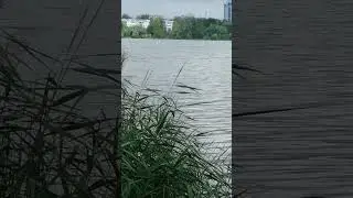 Жили - были...