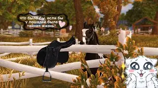 ЧТО БЫЛО БЫ, ЕСЛИ БЫ У ЛОШАДЕЙ БЫЛА ТАЙНАЯ ЖИЗНЬ? | sso