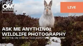 English | Ask me anything: Let‘s talk about wildlife photography