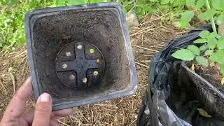 Фронт работ?спустя неделю отдыха!