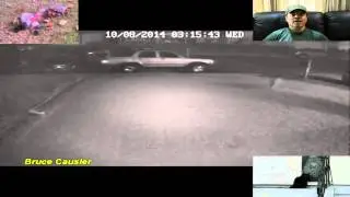 Coyote Eating Cat Caught On Security Camera