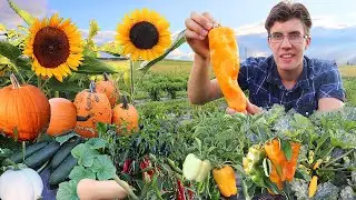 Garden Harvest Compilation 3