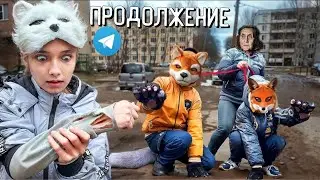 ПРОДОЛЖЕНИЕ НОВОГО РОЛИКА МАКСА ВАЩЕНКО. КОНФЛИКТ С КВАДРОБЕРАМИ