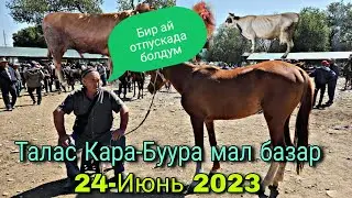 Талас Кара-Буура мал базар 24-Июнь 2023