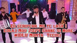💣Zii scripcar, nu te lasa !⚡️Colaj Nou 2024 🔥Sarbe si Hore ❌ Iulian de la Vrancea 💥 Nunta Tecuci
