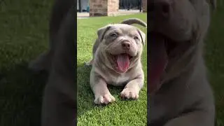 Hope that one made your day better 😍😍😍