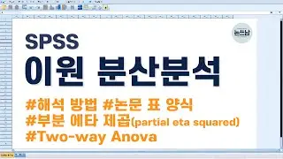 이원 분산분석 해석 방법 / 논문 통계 표 양식 / 부분 에타 제곱(partial eta squared) / SPSS two way anova / 효과크기(effect size)