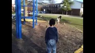 black little girl fights white girl