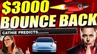Tesla Stock 🔥 Will EXPLODE and BOUNCE $3000 ARK Invest CATHIE stock price Prediction SOON?