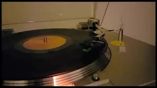 Wreck of the Edmund Fitzgerald - Gordon Lightfoot 33 RPM album track