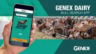 GENEX Dairy Bull Search App