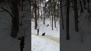#юмор #зима #tomastravel #россия #russia #russian #children #funnyvideo #rollercoaster #winter