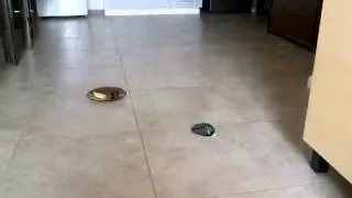 Ratón sin pilas