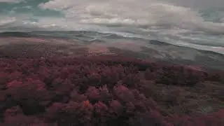 Drone FPV Color Grading Premiere Pro