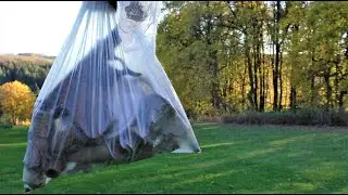 Хламец из леса!  Есть ещё пропуски!