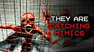 The Mimic Research is TERRIFYING! | Vita Carnis [Analog Horror]