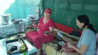 19 августа 2024 г.