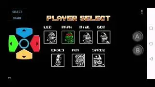 Teenage Mutant Ninja Turtles Tournament Fighters