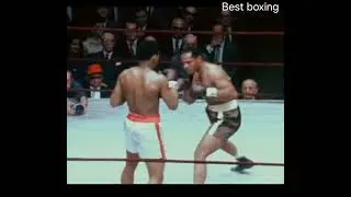 Best Fighters