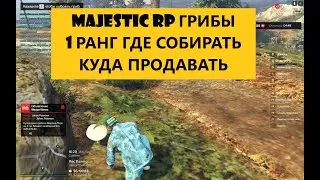 MAJESTIC RP ГРИБЫ 1 РАНГ ГДЕ СОБИРАТЬ КУДА ПРОДАВАТЬ