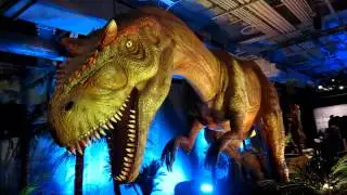 Tyrannosaurus at Montreal