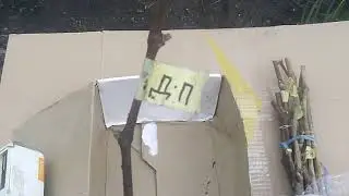 Пришла посылка от виноградарь Сергея