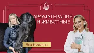 Яна Космина: Ароматерапия для животных