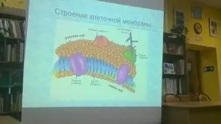 Крионика. Рассказывает И.Артюхов на 