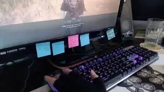 Hand Position - BDO