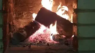Живой лес.  Страшный рассказ на ночь.  Лес совсем не такой, как мы его видим.