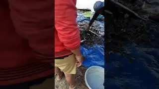 Tambak Sungai Buburak Desember 2018