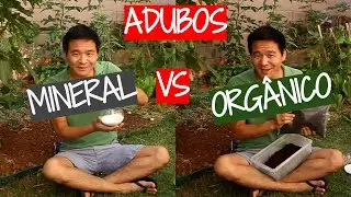 The real differences between organic and chemical fertilizers.