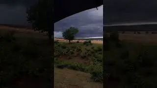 bılıx