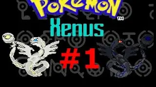 Pokemon Xenus - Episode 1 - HUSKY THE MUDKIP!