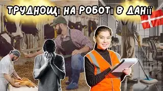 🇩🇰 Які ПРОБЛЕМИ можуть виникнути у вас в ДАНІЇ і як їх ВИРІШИТИ?