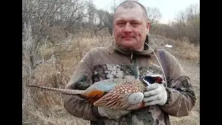 Охота на фазана. 2019
